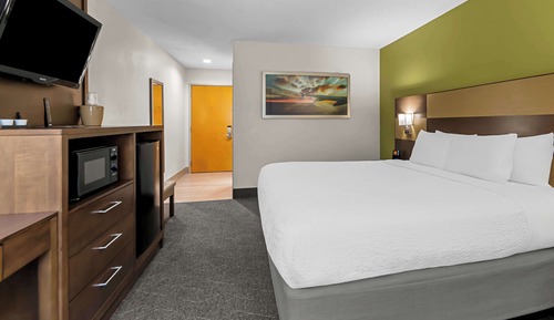 Standard Room, 1 King Bed, Non Smoking, Refrigerator & Microwave