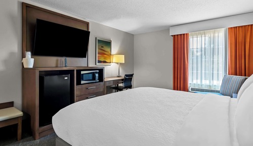 Standard Room, 1 King Bed, Non Smoking, Refrigerator & Microwave