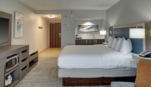 Room, 1 King Bed, Accessible, Bathtub (Mobility & Hearing)