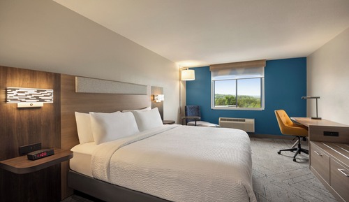 Standard Room, 1 King Bed, Accessible (Mobility, Accessible Tub)