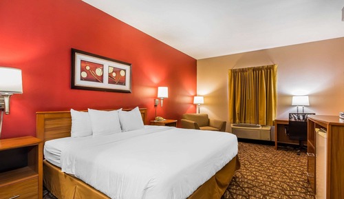 Room, 1 King Bed, Accessible, Non Smoking