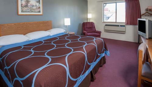 Room, 1 King Bed
