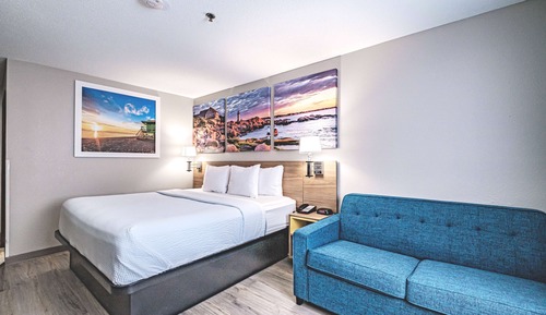 Room, 1 King Bed, Non Smoking