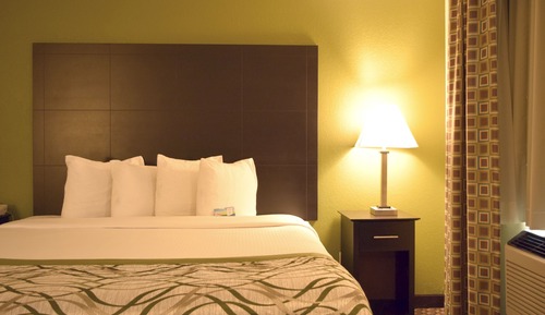 Room, 1 King Bed, Non Smoking