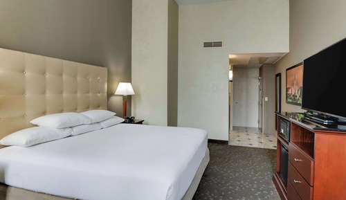 Deluxe Room, 1 King Bed, Accessible, Refrigerator & Microwave (Roll in Shower)