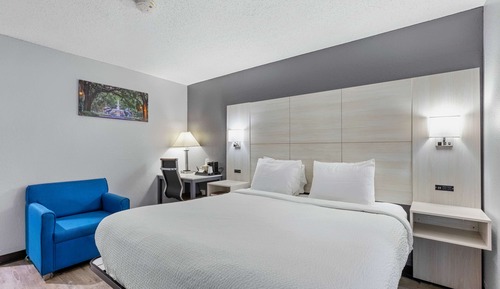Room, 1 King Bed, Non Smoking