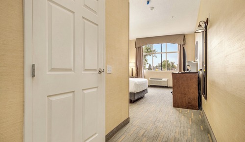 Standard Room, 1 Queen Bed, Roll-in Shower (Roll-In Shower)