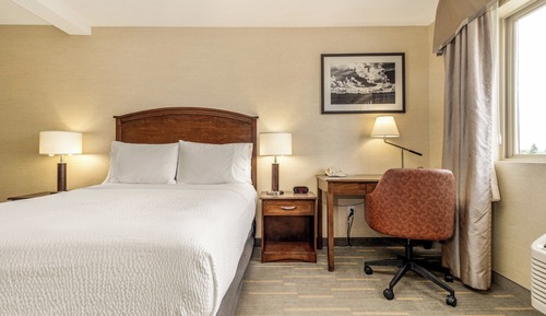Standard Room, 1 Queen Bed