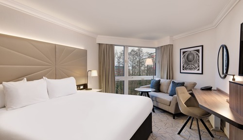 Executive Room, 1 King Bed