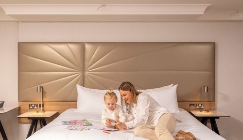 Family Room, 1 King Bed