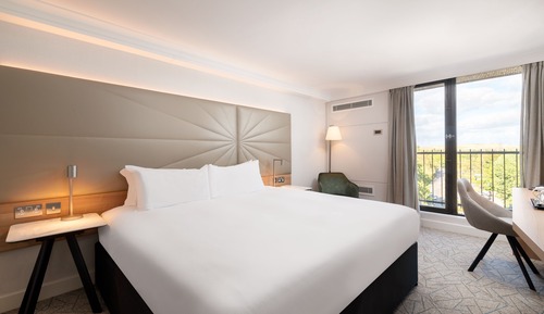 Room, 1 King Bed