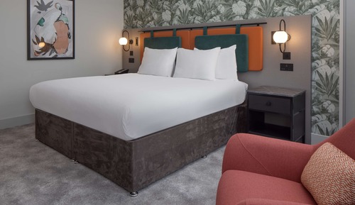 Room, 1 King Bed