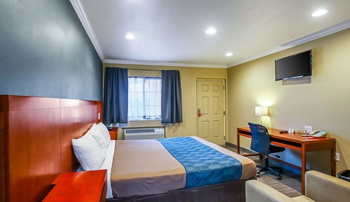 Room, 1 King Bed, Smoking