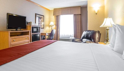 Standard Room, 1 King Bed, Non Smoking