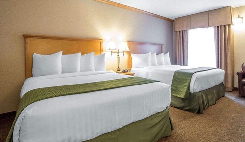 Room, 2 Queen Beds, Non Smoking (Pet Friendly)