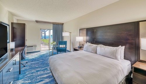 Room, 1 King Bed, View