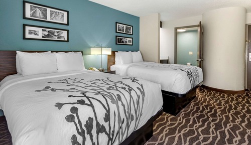 Standard Double Room, 2 Double Beds, Non Smoking