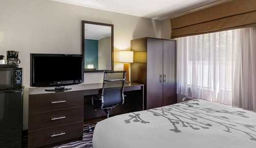 Room, 1 Queen Bed, Non Smoking