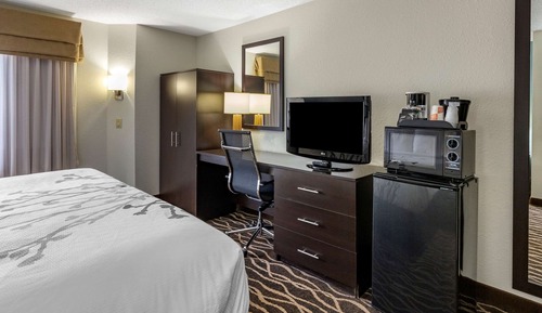 Standard Room, 1 King Bed, Non Smoking