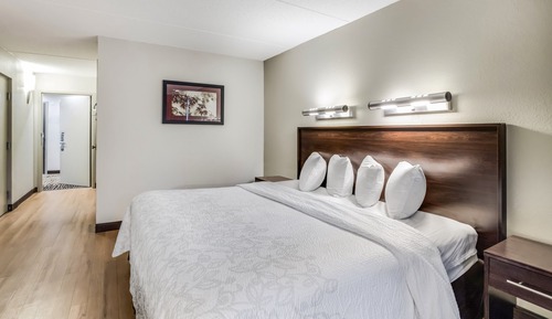 Superior Room, 1 King Bed, Accessible (Roll-In Shower, Smoke Free)