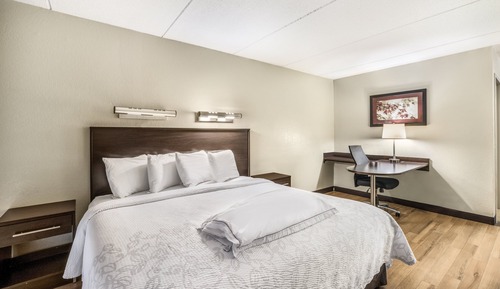 Premium Room, 1 King Bed (Upgraded Bedding & Snack, Smoke Free)