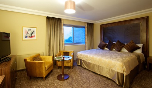 Suite, 1 King Bed