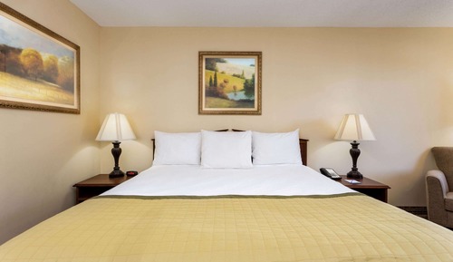 Room, 1 King Bed