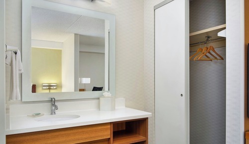 Suite, 1 King Bed with Sofa bed
