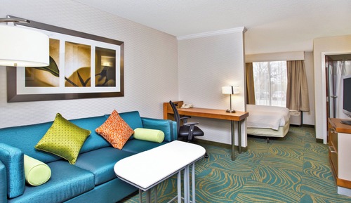 Suite, 1 King Bed with Sofa bed (Mobility/Hearing Accessible, Tub)