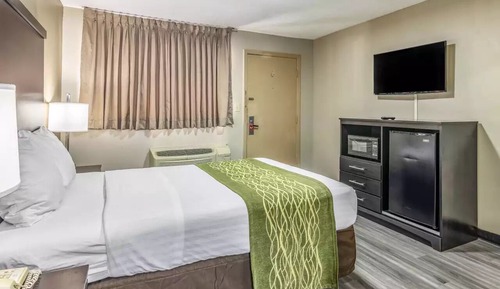 Room, 1 Double Bed, Non Smoking