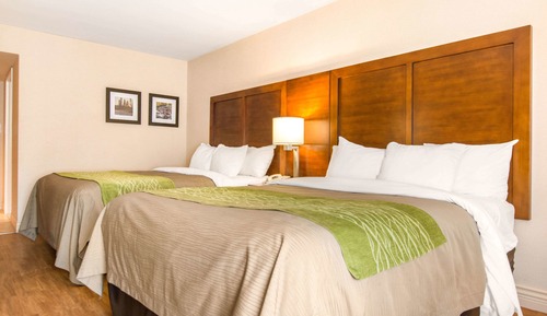 Standard Room, 2 Queen Beds, Non Smoking