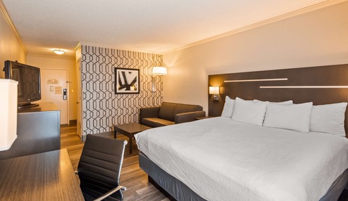Business Room, 1 King Bed, Non Smoking, Refrigerator (with Sofabed)