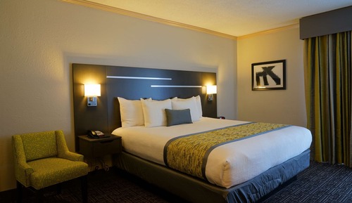 Suite, 1 King Bed, Non Smoking, Kitchen (with Sofabed, Full Kitchen)