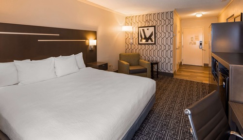 Standard Room, 1 King Bed, Accessible, Non Smoking