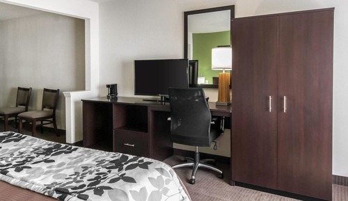 Room, 1 King Bed, Accessible, Non Smoking