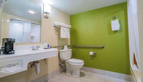 Room, 1 Queen Bed, Accessible, Non Smoking (Roll-In Shower)