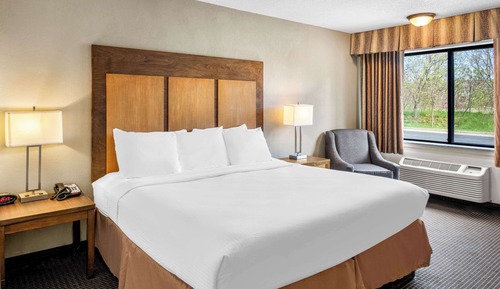Standard Room, 1 King Bed, Non Smoking