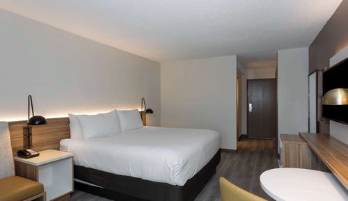Room, 1 King Bed, Accessible, Non Smoking (Mobility/Roll-In Shower)
