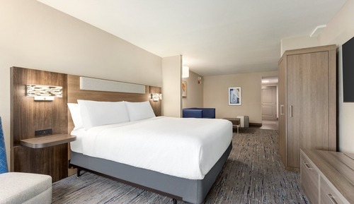 Suite, 1 King Bed with Sofa bed