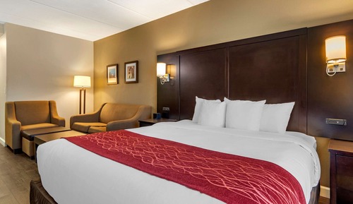 Room, 1 King Bed, Accessible, Non Smoking
