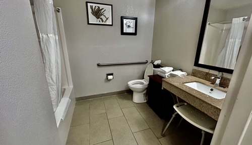 Room, 1 King Bed, Accessible, Non Smoking