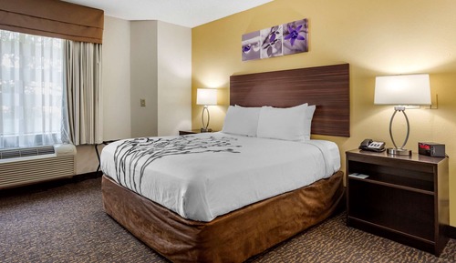 Room, 1 Queen Bed, Accessible, Non Smoking