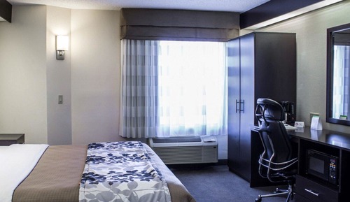 Room, 1 Queen Bed, Accessible, Non Smoking
