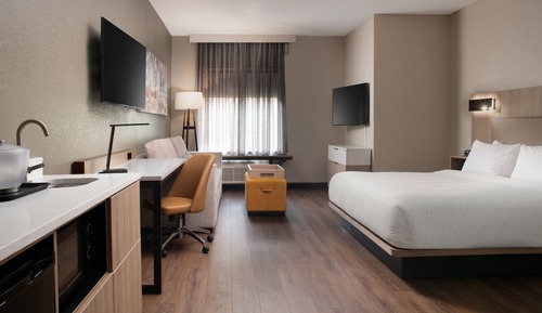 Suite, 1 King Bed with Sofa bed