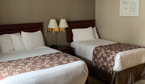 Basic Room, Multiple Beds