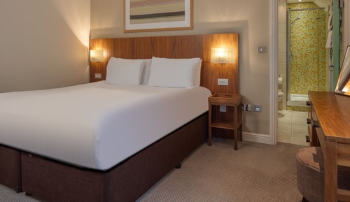 Standard Apartment, 1 Double Bed, Accessible, Kitchen (Converts to 2 Twin Beds;with Sofabed)