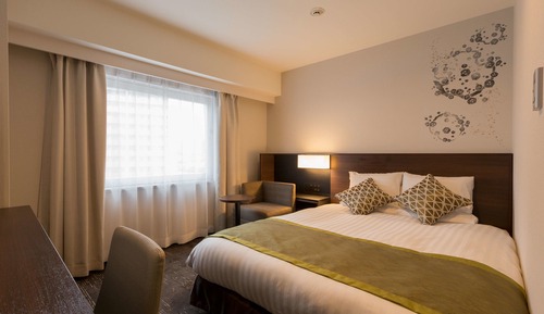 Standard Double Room, 1 Queen Bed, Non Smoking (17 ㎡)