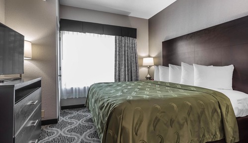 Business Suite, Non Smoking (1 King, 2 Person Sofabed)