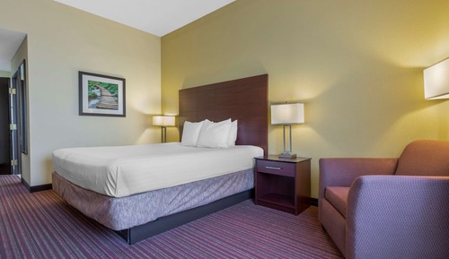 Standard Room, 1 King Bed, Accessible, Non Smoking