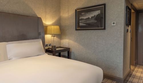 Superior King room